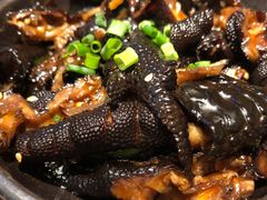 黑凤爪-蛙小侠(长安万科店)