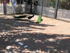 -长白岛森林公园