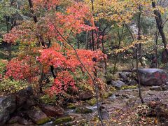 -玉渡山自然风景区