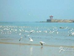 -日照灯塔风景区