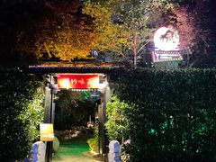 -SWAG·日咖夜酒·城市露营