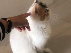 -平行世界·猫咖(首经贸店)