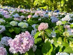 -兰州-西固陈记牛肉面·烧烤(山阴路店)