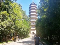-灵谷景区
