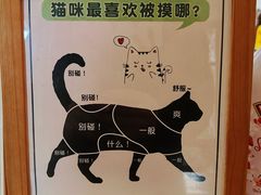 -有猫主题·治愈系猫咖(曾厝垵店)