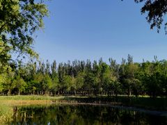 -东郊湿地公园