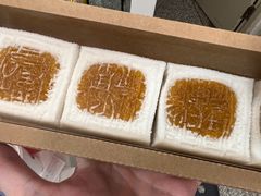-阮大兴糕团(日月光中心店)