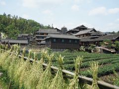 -程阳八寨景区