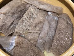 鲜毛肚-重庆渝达老火锅(春熙路店)