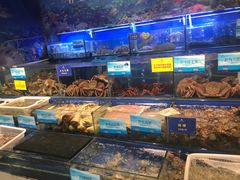 水产区-海鲨湾海鲜会馆(百家湖1912店)