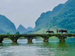-靖西鹅泉风景区