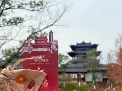 -江心屿景区