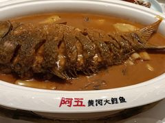 红烧黄河大鲤鱼-阿五黄河大鲤鱼(海尚店)