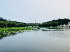 -南戴河国际娱乐中心