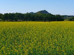 -光明小镇欢乐田园