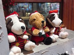 -地二手作鱼汤馄饨(上街里店)