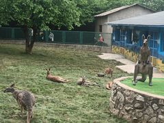 -西安秦岭野生动物园
