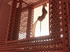 -二酉书店TOYOU BOOKS