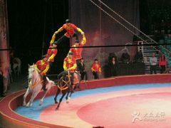 -环球城国际大马戏