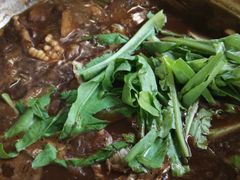 -姥家大锅台水库渔家