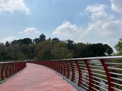 -王借岗森林公园