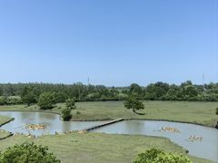 -溱湖国家湿地公园