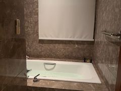 -河源万绿湖美思威尔顿酒店