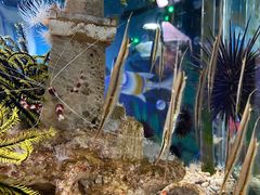 -太平洋海底世界