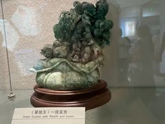 -河南自然博物馆