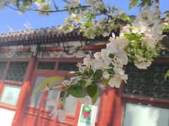 -元大都城垣遗址公园