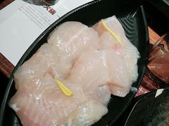 金沙江龙鱼-老牌坊云南鱼豆花火锅(嵩山店)