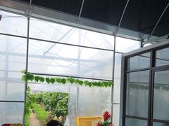 -马陆小张葡萄园农家乐