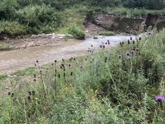 -胭脂峡