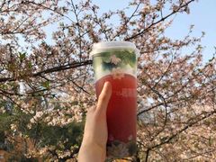 -鸡鸣赐茶(鸡鸣寺路店)