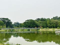 -东莞植物园