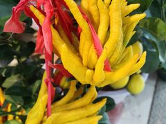 -三旗百汇商品城