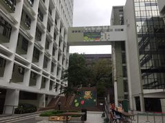 -香港大学