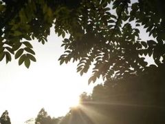 -火炉山森林公园