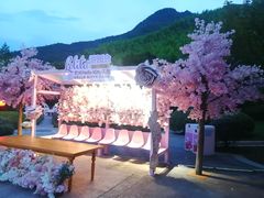 -安吉Hello Kitty乐园