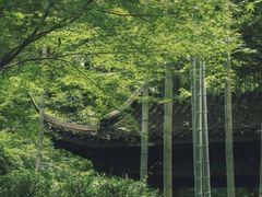 -云栖竹径