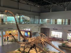 -自贡恐龙博物馆