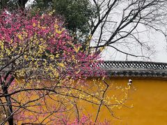 -太平天国侍王府