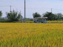 -喜洋洋蟹庄(阳澄湖店)