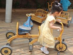 -世纪飞马幼儿园(西城校区)