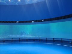 -广东惠东海龟国家级自然保护区