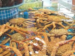 -大东海海鲜酒楼(渔人码头总店)