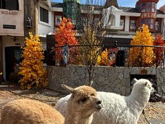 -Blue Concept Cafe&Farm·關於藍