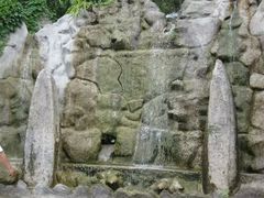 -西双版纳原始森林公园