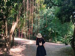 -Bamboo Saturday Market(Nana Jungle)