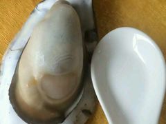-蚝专家(北滘店)